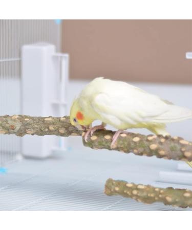 Gobesty Bird Perch Stand Bird Cage Accessories 5 PCS Bird Parrot Perches Natural Wood Parrot Perch Bird Cage Branch for Parakeets Cockatiels Conures Macaws Finches Love Birds - Buy Online on GoSupps.com