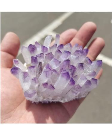 Natural Crystal Rough Crystal Natural Purple Ghost Phantom Quartz Crystal Cluster Rock Stones and Crystals Reiki Specimen Home Deco Crystal (Size : 300-350g) - Buy Online on GoSupps.com