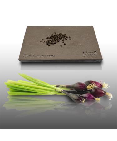 Red onion 100 korrels aromas to sow allium fistulosum