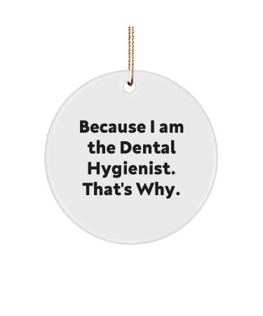 Because I Am The Dental Hygienist That's Why. A Unique Christmas Unique Gift for Dental Hygienist Circle Ornament Gifts from Friends to Dental Hygienist