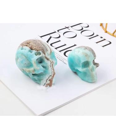 Heteropolar Caribbean Stone Skull Healing Crystal Quratz Hand Carved Human Skull Pocket Statue Figurine Decor Energy Reiki Gemstone Collectible Figurine (Heteropolar Caribbean Stone- Skull) - Buy Online on GoSupps.com