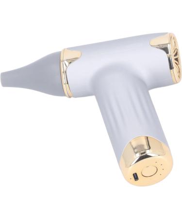 Dust Blower High Speed Bladeless Hair Dryer Easy to Carry 4 Wind Levels for Camping for Home for Cats Dogs (Silver) - Buy Online on GoSupps.com