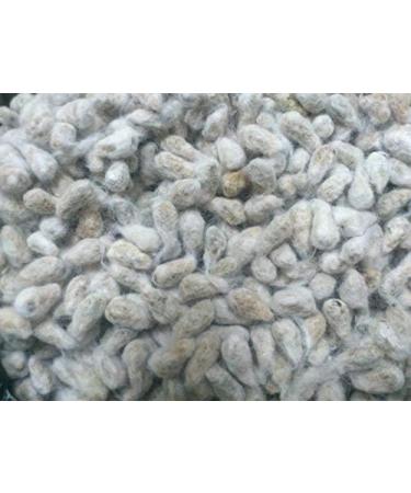 Cotton Seeds/Paruthi Seeds 500g (for Paruthi Paal/Cotton Seed Milk) (Pack of 02) - Buy Online on GoSupps.com