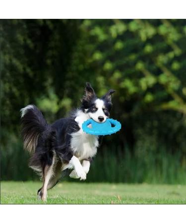 GERUI Dog Frisbee - Bite-Resistant Interactive Toy for Large & Medium Dogs | Outdoor Fun (Blue) - Shop Internationally - Buy Online on GoSupps.com