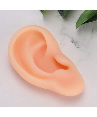 Simulated Ear Acupuncture Models - Realistic Silicone Ears for Training (Right) - Buy Online on GoSupps.com