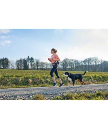 HUNTER Jasper Anti-Jerk Leash & Jogging Belt - Shock Absorber Reflective Red/Black & Red/Grey - One Size | Buy Internationally - Buy Online on GoSupps.com