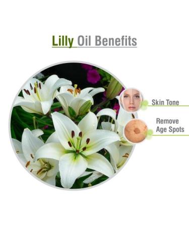 Lily Essential Oil 100% Pure & Natural | Aromatherapy Scented Fragrance Oil | Therapeutic Grade Lilium Auratum (15 ML) - International Shipping Available - Buy Online on GoSupps.com
