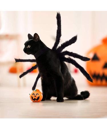 Shop Halloween Spider Costume for Dogs & Cats | Adjustable Black Paired Costumes & Decorations - Perfect for Small & Medium Pets - Buy Online on GoSupps.com