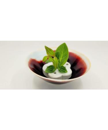 Eco-Friendly Lotus Shaped Clay Floral Holder for Happy and Wealthy Floral Arrangements - White, 2.76 inches - Buy Online on GoSupps.com
