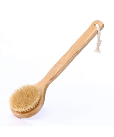 HiKin Dry Bath Body Brush 12.6  Long Handle Natural Bristles Shower Brush Back Scrubber with Anti-Slip Wooden Handle  Good for Exfoliating  Blood Circulation  Detox and Cellulite  etc. Long Handle 12.6