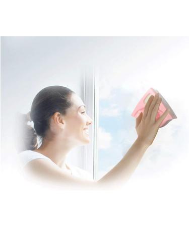 Window Cleaner Double-Sided Magnetic Glass Wiper Glider Glass Cleaning Tools for High-Rise Single Glazed Windows - Buy Online on GoSupps.com