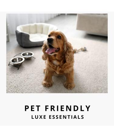 Diamond Life Home Les Fleurs Cherry Blossom & Peony Carpet Powder & Upholstery Freshener Bundle - Pet & Kid-Friendly Odor Eliminator - Buy Online on GoSupps.com