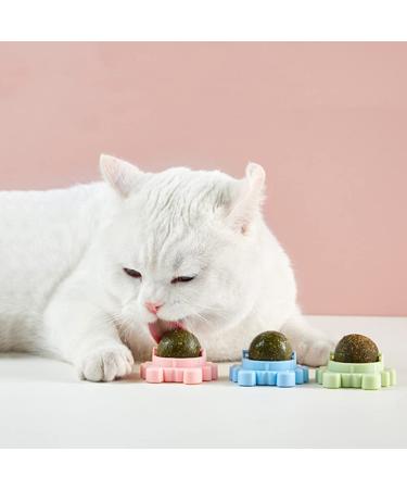 Kayina Catnip Wall Ball 3-Piece Cat Toys - Edible, Chewable, and Rotatable Cat Toy for Teeth Cleaning and Indoor Fun - Cat Wall Decoration Crab Design - Buy Online on GoSupps.com