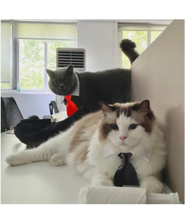 4 Pieces Pets Dog Cat Bowtie Pet Costume Adjustable Formal Necktie Collar for Cats Small Dogs Puppy Grooming Accessories (Black/red) - Buy Online on GoSupps.com