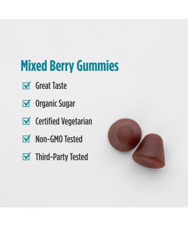 Nordic Naturals Stress Relief Gummies, Mixed Berry, 40 Gummy Supplements, Supports Daily Mood and Immune System Health, Non-GMO, Vegetarian, 20 Servings 40 Count (Pack of 1) - Buy Online on GoSupps.com