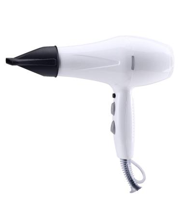 Professional Hair Dryer Salon Hairdryers 1600W with 2 Nozzles Lightweight Power Blow Dryer Fast Dry 2 Speed 3 Heat Cool Shot Setting Long Cable DC Motor Fast Drying Time and Frizz Free Shine White