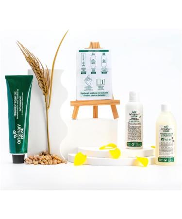 NIJO 10 SL Professional permanent painting color 90 very light blond + oxidating cream 100 ml + shampoo 30 ml formula without ammonia and without PPD - Buy Online on GoSupps.com