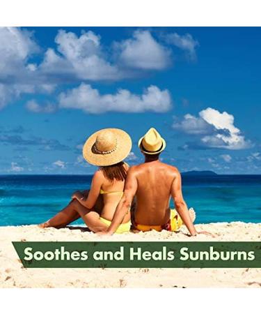 Buy Windmill Health Products Aloe Vera Gel - 99.9% Bio-Active Natural Moisturizer | Paraben & Sulfate Free - 6 fl oz (170mL) - Ships Worldwide - Buy Online on GoSupps.com