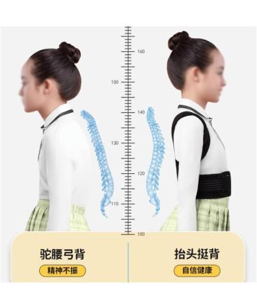 DFHBFG Student Special Back Orthotics Anti-Hunchback Artifact to Correct The Sitting Posture Correction Belt(Size:Small) Small D - Buy Online on GoSupps.com