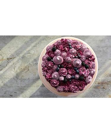 Burgundy Red DAZZLER DUST Glitter - 5g Jar | Non-Toxic Craft Glitter for Arts, Crafts, Slime, Paint, Face & Body - Buy Online on GoSupps.com