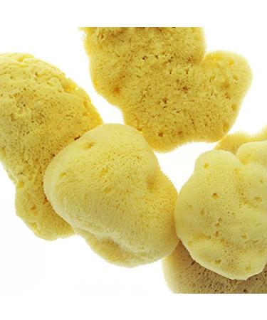 Fine-Pored Soft Silk Natural Bath Sponge | Kosmetex Hygiene & Watercolor Sponge 10 cm - International Shipping Available - Buy Online on GoSupps.com
