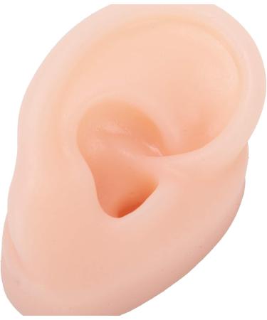 Chanmea Multi-Purpose Human Ear Model - Soft Teaching Tube for Hearing Aid Simulation & Practical Exercises - Buy Online on GoSupps.com
