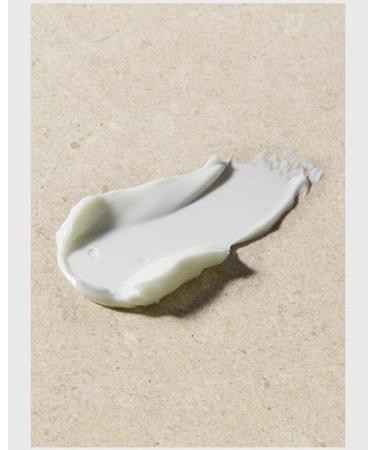 Buy The Body Shop Vitamin E Intense Moisture Cream 50ml - Unisex Hydrating Cream for Dry Skin | International Shipping Available - Buy Online on GoSupps.com