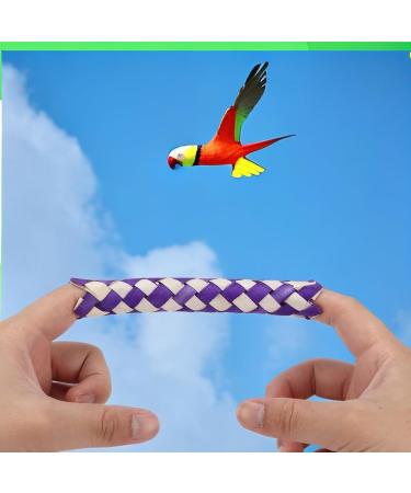Zerodis 24Pcs Finger Traps - Eco-Friendly Bamboo Chew Toys for Kids & Birds | DIY Party Fun - Buy Online on GoSupps.com