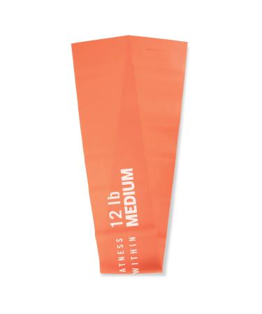 Everlast FIT Light Exercise Stretch Band for Stretching Flexibility Pilates Yoga Ballet Gymnastics and Rehabilitation Green - Light - 8lb