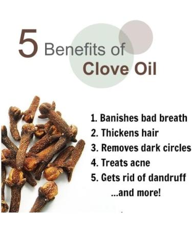 Clove Oil (Syzygium aromaticum) 100% Pure & Natural Undiluted Uncut Essential Premium Aromatherapy Oil - 100ml Clove 100 ml - Buy Online on GoSupps.com