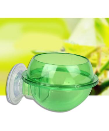 Mipcase 2pcs Tools Tortoise Water Dish Reptile Supplies Pet Stuff Reptile Feeder Sucker Turtle Pet Supplies - Buy Online on GoSupps.com