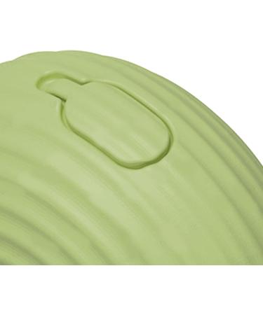 Skincare Tools: Green Stripe Face Massager Roller & Cooling Ice Tray for Pore Shrinking & Skin Tightening - Buy Online on GoSupps.com