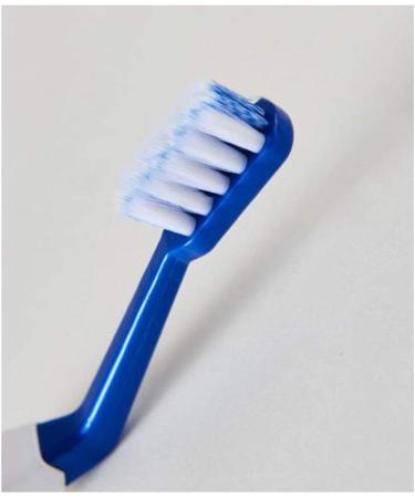 Buy WXPJMDFC Unique Manual Toothbrush for Men & Women - Medium Bristles Flexible Sides 4-Pack Travel Body Care - Ships Internationally - Buy Online on GoSupps.com