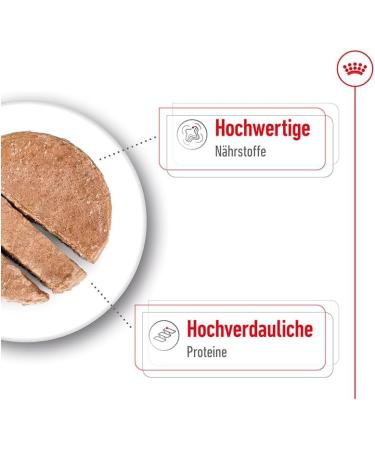 Royal Canin Maxi Adult Wet Dog Food In Loaf Cans 12 x 410g - Buy Online on GoSupps.com