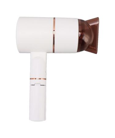 Syrisora High Power Negative Ions Blow Dryer Cold Hot Air Thermostatic Lazy Hair Dryer Salon Styling Tool (US Plug 110V)