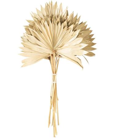 Vickerman Natural Botanicals 20" Natural Palm Sun Stem Real Preserved Foliage Stems Includes 12 Stems Per Pack - Buy Online on GoSupps.com