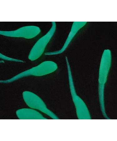 Small Fry 40 Pack (1.75 Inch) - Crappie, Panfish, Bass Lures - Chartreuse Glow - Buy Online on GoSupps.com