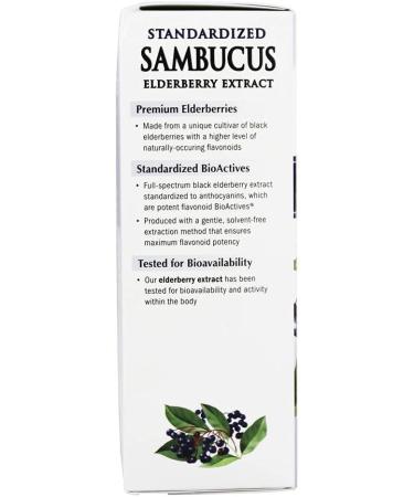 Nature's Way Sambucus Original Syrup 8oz - Immune Support & Natural Wellness | Buy Internationally - Buy Online on GoSupps.com