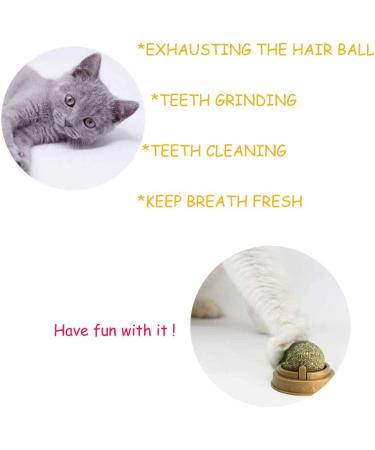 2 Pack Catnip Balls | Natural Mint Leaf Rotating Interactive Toys for Cats | Hairball Removal & Teeth Cleaning | Sticky Wall Mount | Catmint Toy for Kitty Chewing & Playing - 2pcs - Buy Online on GoSupps.com