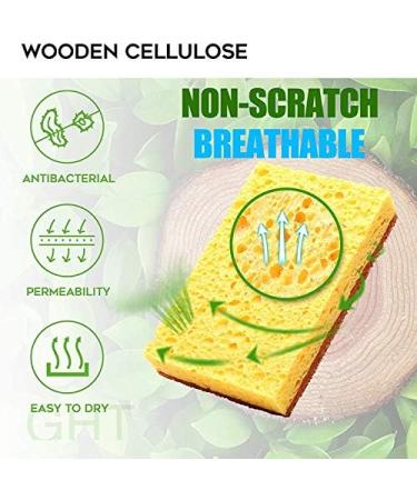 domoi Natural Plant Based Scrub Sponge 8 Pack Palm Fiber Scrubber Sponge with Non Scratch Biodegradable Compostable Sponges - Buy Online on GoSupps.com