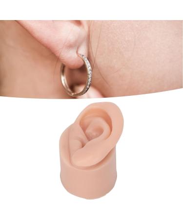 Display Ear Model Reusable Simulated Silicone Practice Ear Model Portable Elastic for Jewelry Store for Beginner(Right) - Buy Online on GoSupps.com