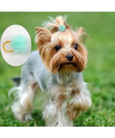 Qearl 48 Pcs Colored Ball Dog Ties Small Dog Bows - Pet Grooming Hair Accessories for Puppy & Cat - Buy Online on GoSupps.com