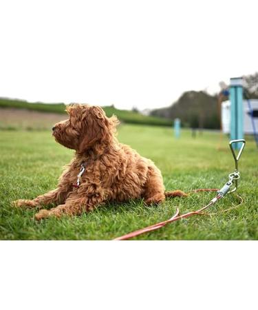 Rosewood 30 ft Red Tie-Out Cable - Durable Yard Accessories - Buy Online on GoSupps.com