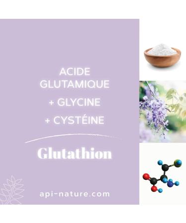 Nivelhepa 40 Capsules | Milk Thistle Artichoke Extract Choline Chlorella SAMe and Glutathione | Liver Protection and Detoxification | Liver Detox Api-Nature - Buy Online on GoSupps.com