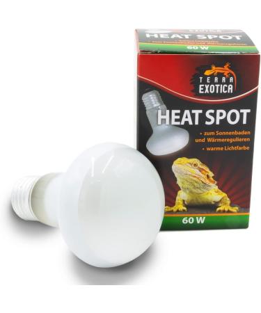 Terra Exotica 60W Heat Spot Lamp for Reptiles - 3-Pack Terrarium Lighting | 25W 40W 75W 100W 150W Options Available - Buy Online on GoSupps.com