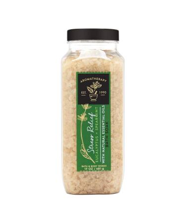 Bath & Body Works Bath & Body Works Aromatherapy Stress Relief Eucalyptus Spearmint 17.0 Oz Bath Soak  17.0 Oz - Buy Online on GoSupps.com