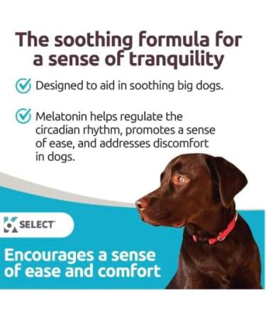 K9 Select Melatonin for Dogs 1 mg - 180 Vegetable Capsules - Dog Melatonin for Small Breeds - Gentle Well-Being Enhancer - Healthy Tasty Dog Treats That Helps Overall Health - Buy Online on GoSupps.com