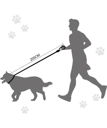 TRHIMLSBRAD Adjustable Dog Leash 2M x 10mm - Multifunctional Double Leash for Every Dog - Durable & Comfortable - Ideal for International Shipping - Buy Online on GoSupps.com