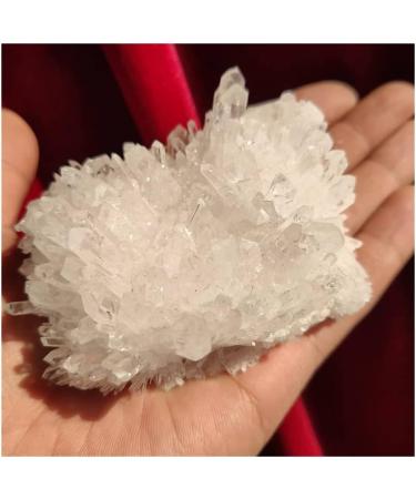 Natural Crystal Rough for 1pcs 350g Natural Beautiful White Cluster Specimen Quartz Crystal - Buy Online on GoSupps.com