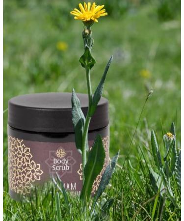 Body Scrub with Sea Salt Pleasant Fragrance Fruity Hammam Smooths and Purifies the Body 500 g. - Buy Online on GoSupps.com